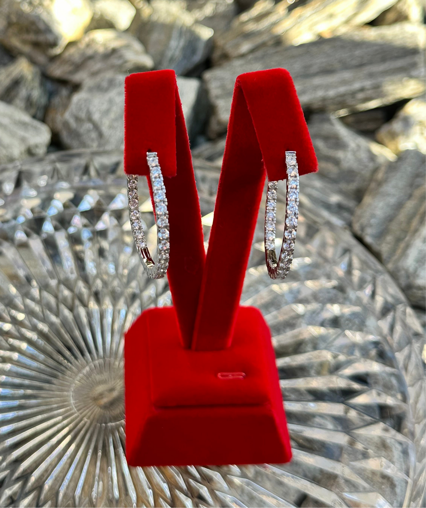 Iced Out Hoop Earrings