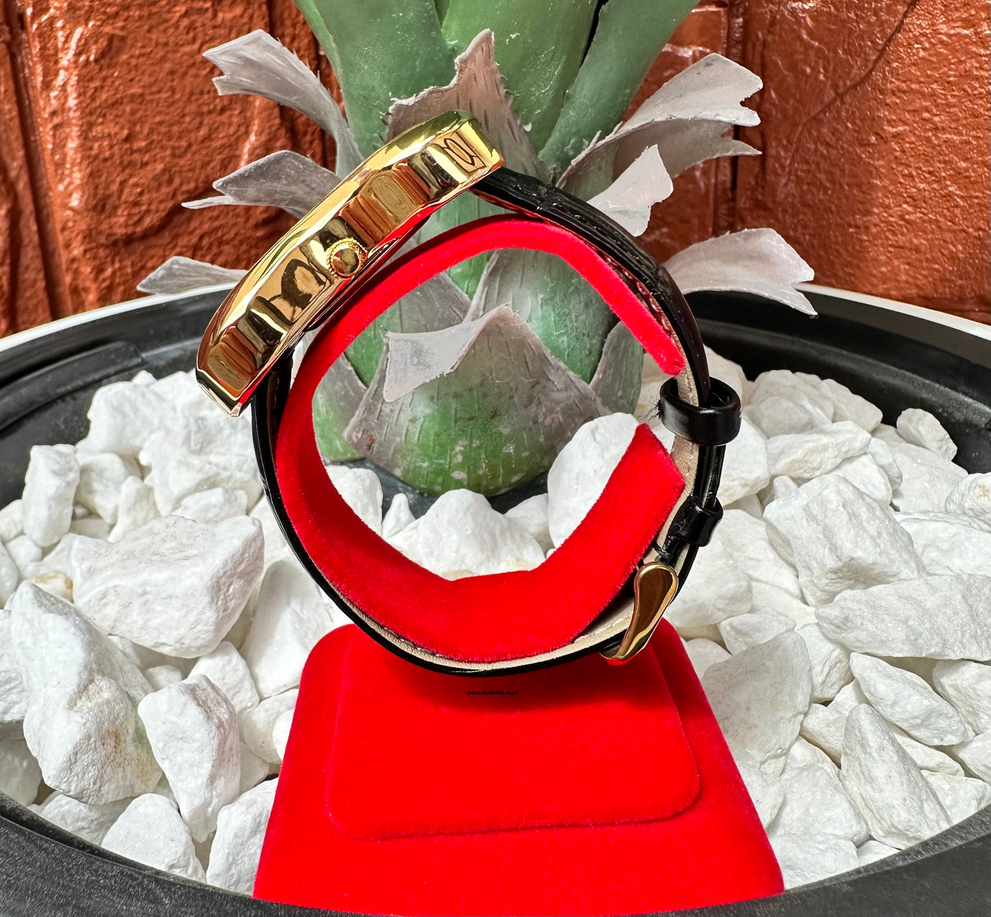 Salvador Unisex Watch