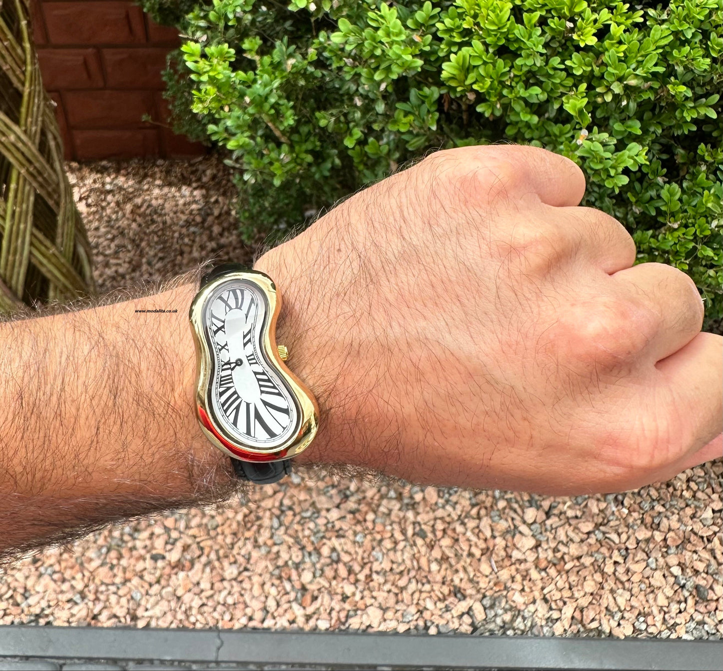 Salvador Unisex Watch