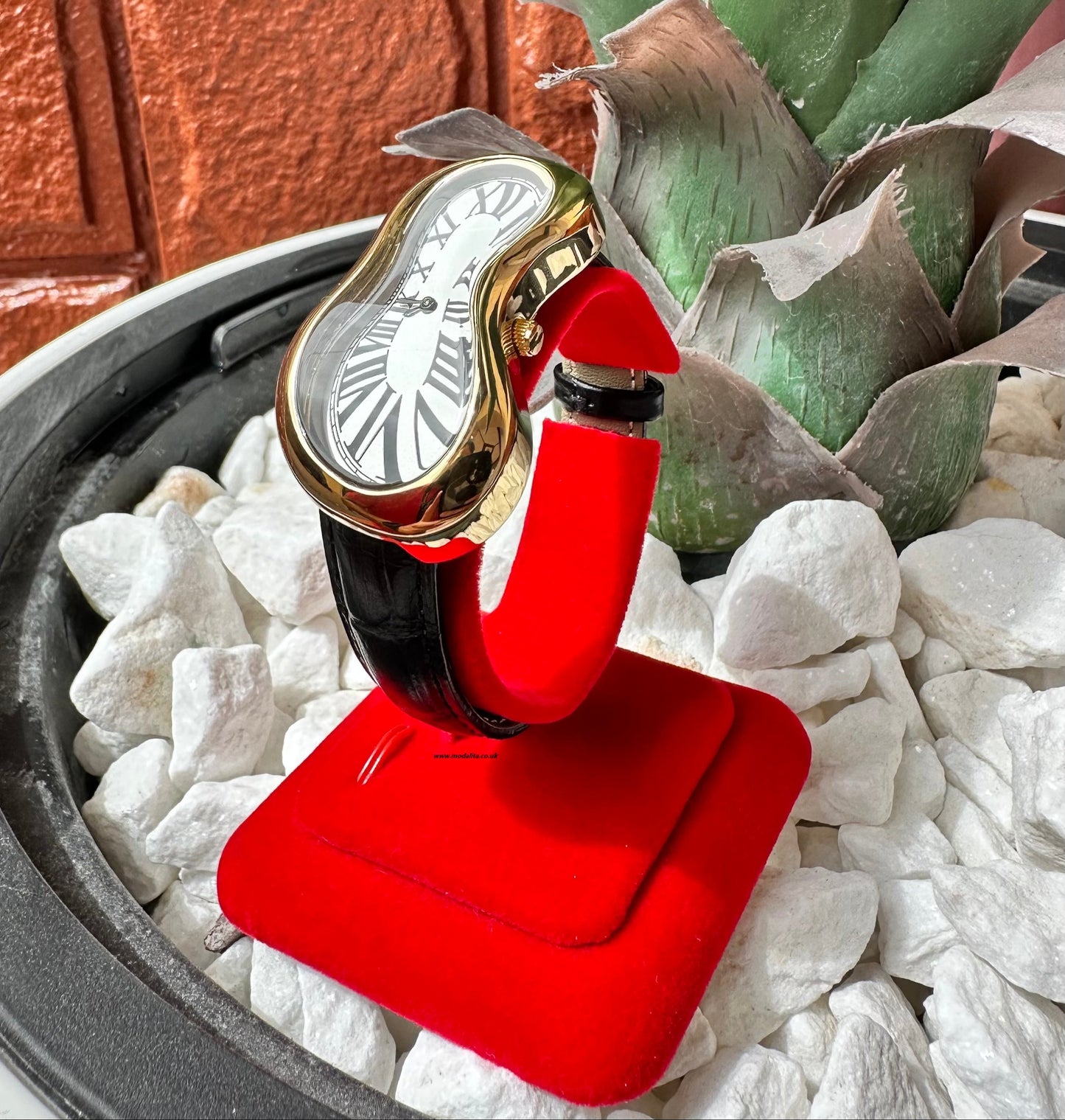 Salvador Unisex Watch
