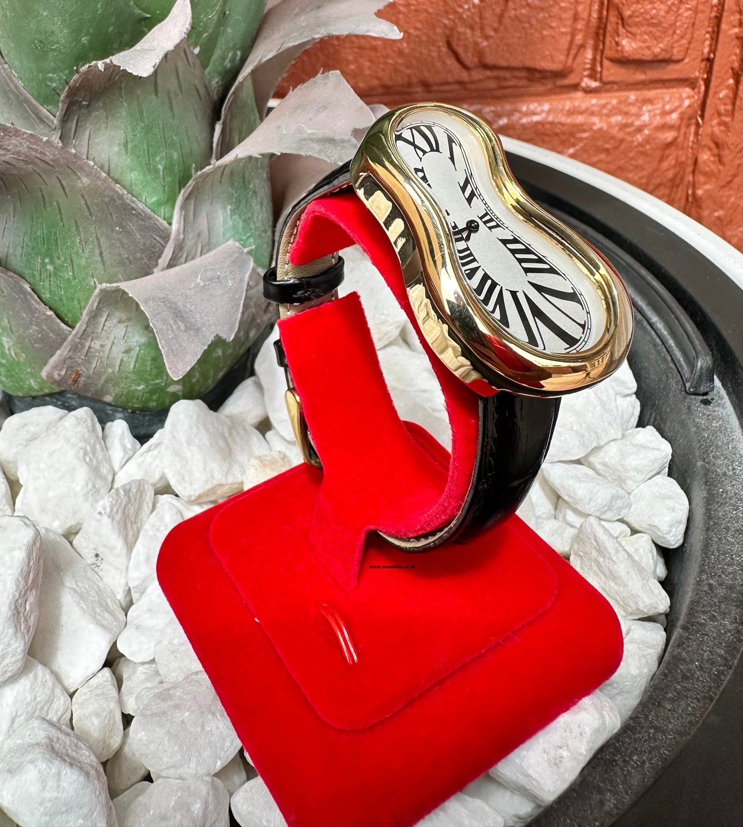 Salvador Unisex Watch