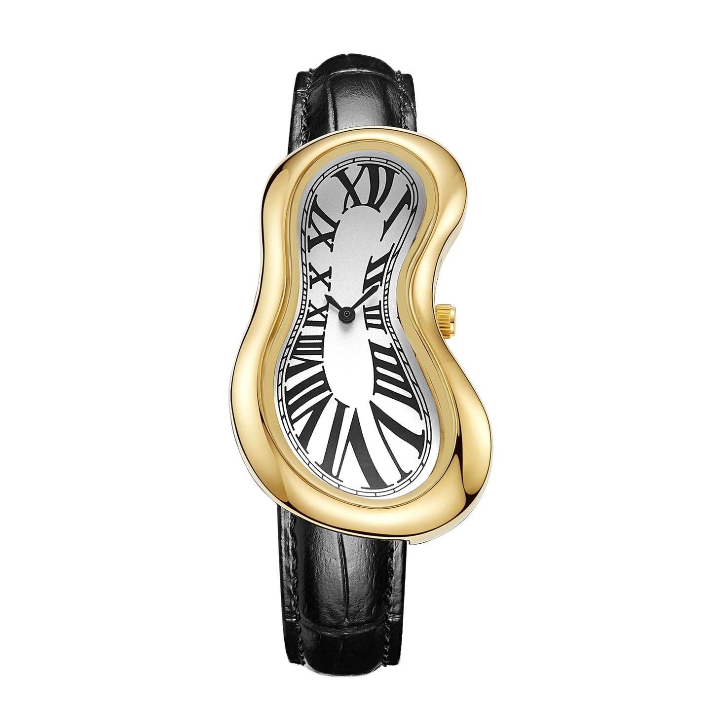 Salvador Unisex Watch