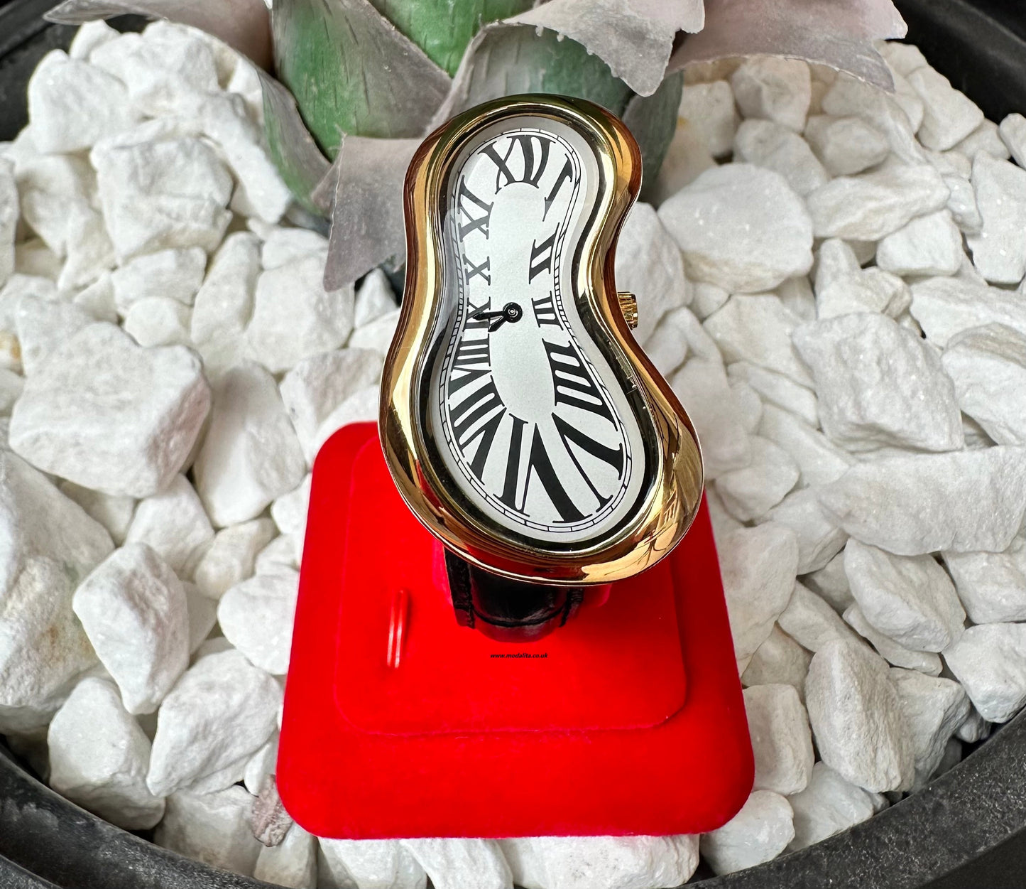 Salvador Unisex Watch